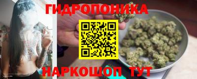 mdma Пенза