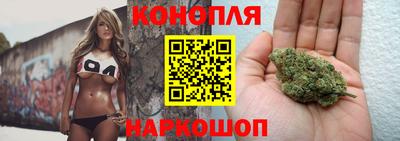 apvp Партизанск