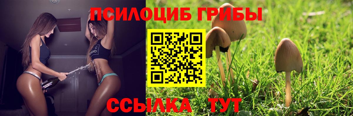 Галлюциногенные грибы Cubensis Алексин