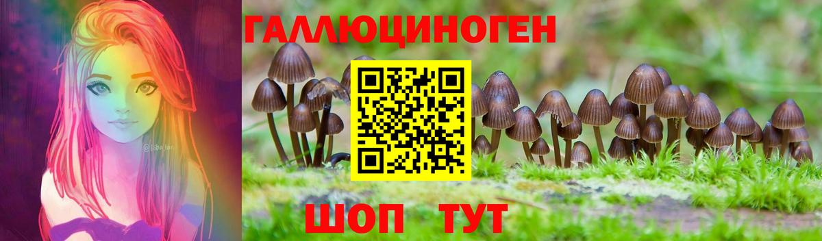 магазин    Галлюциногенные грибы Psilocybine cubensis  Вход с VPN  Алексин 